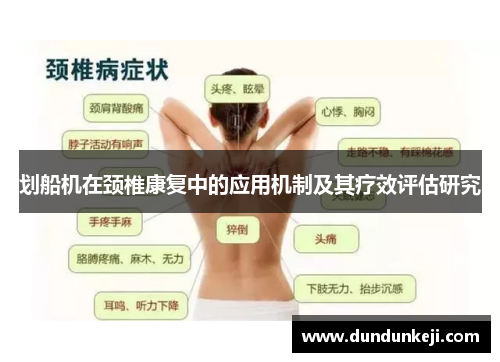 划船机在颈椎康复中的应用机制及其疗效评估研究