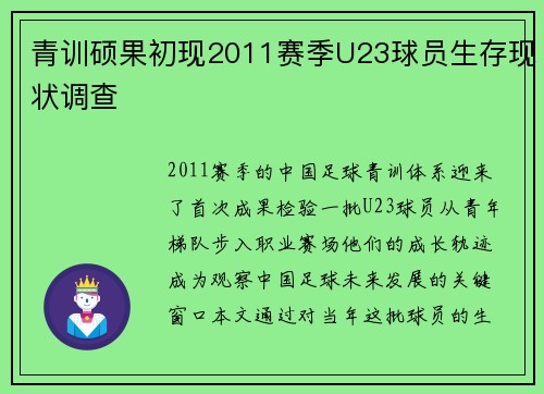 青训硕果初现2011赛季U23球员生存现状调查